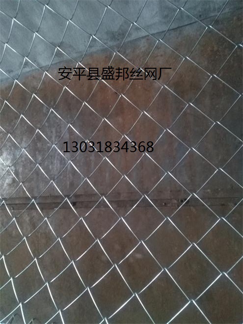 �������o(h��)�W(w��ng)